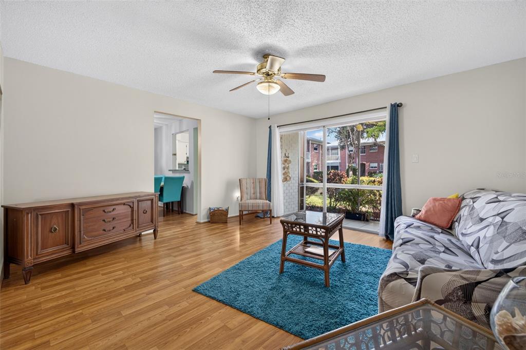 A living room with wood flooring, a blue area rug, and a sliding glass door — 3585 41ST TERRACE S UNIT 225, ST PETERSBURG, FL