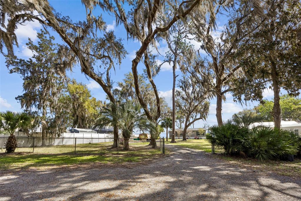 A gravel driveway leads toward a house framed by large trees draped in Spanish moss — 108 SANDRA LANE, CRESCENT CITY, FL