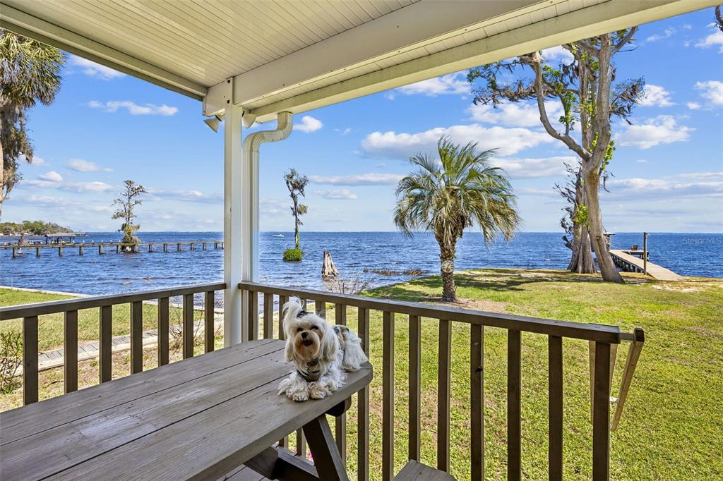 A small dog sits on a wooden picnic table on a porch overlooking a lake — 108 SANDRA LANE, CRESCENT CITY, FL