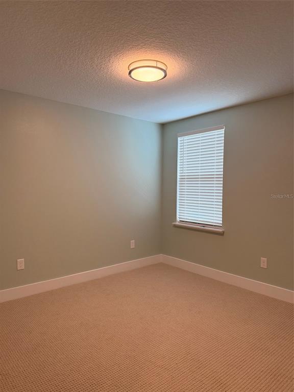 2567 LONG PINE AVENUE, APOPKA, FL — photo 5 of 8