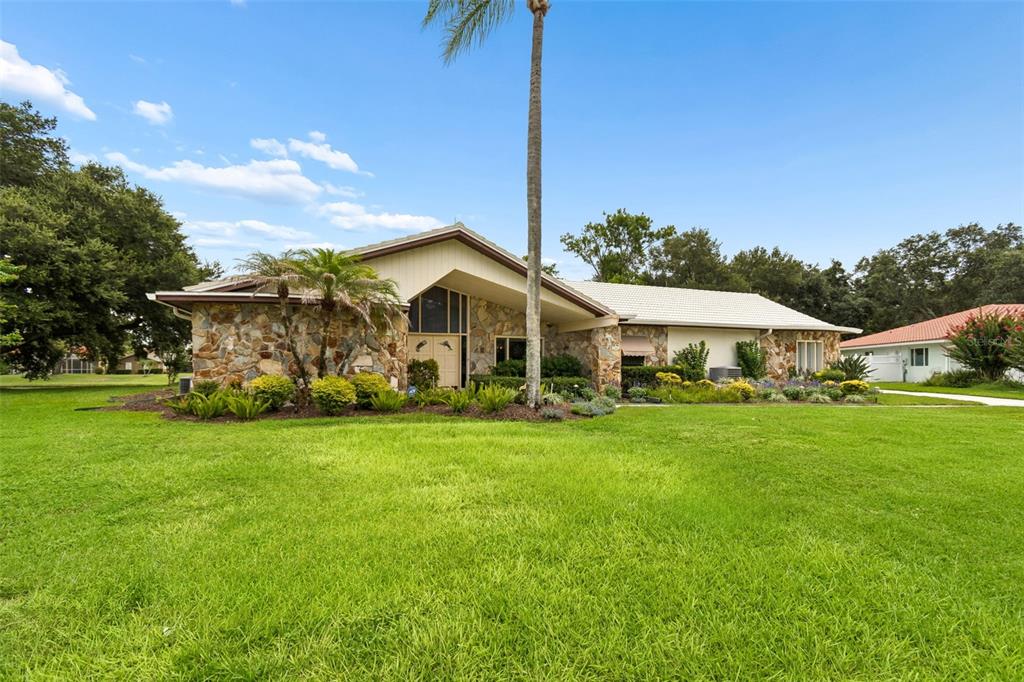 A single-story house with a stone facade and a large front lawn under a blue sky — 2364 VIOLET PL, PALM HARBOR, FL