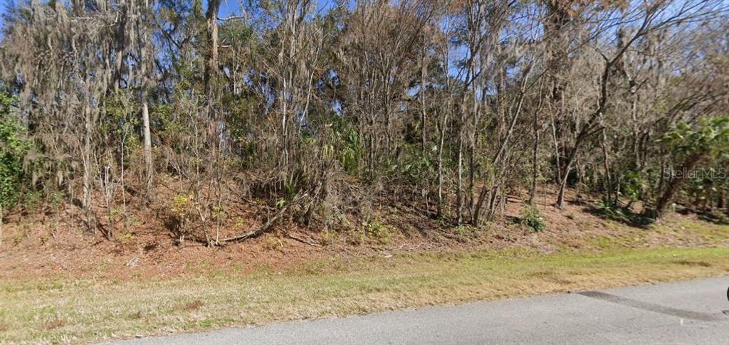 A vacant, wooded lot with a gentle slope rises above a paved residential street — SE WACAHOOTA RD, MICANOPY, FL