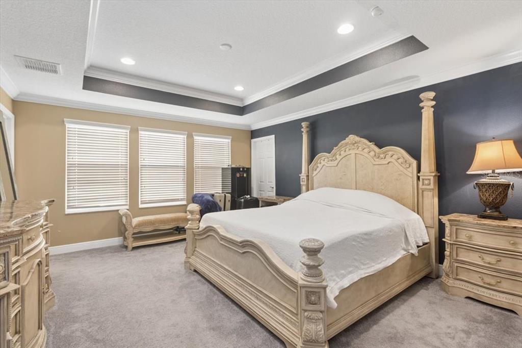 A game room features a red pool table, built-in shelving, a television, and purple walls — 19129 LONG LAKE RANCH BOULEVARD, LUTZ, FL