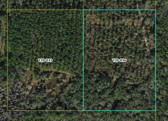 An aerial view shows two adjacent rectangular plots of land covered in dense forest — CR 772B, WEBSTER, FL
