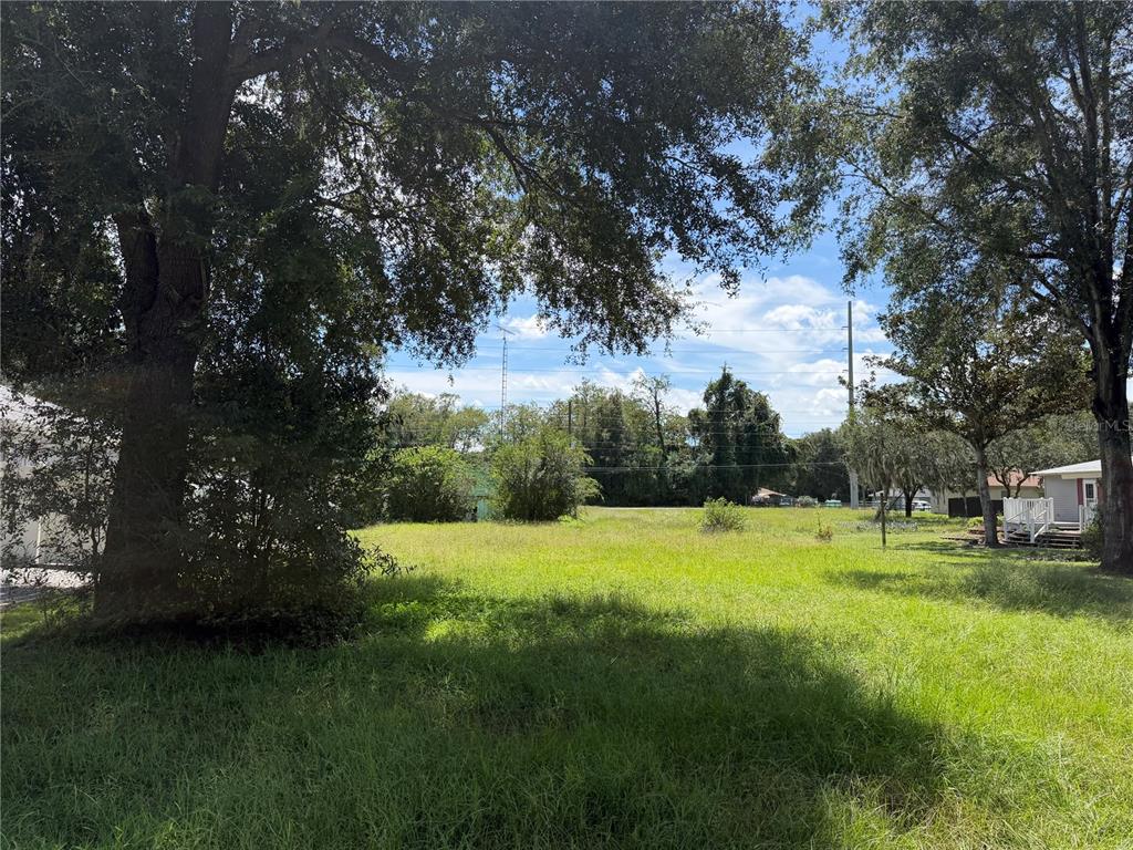 TBD SE 144TH PLACE, SUMMERFIELD, FL — photo 2 of 6