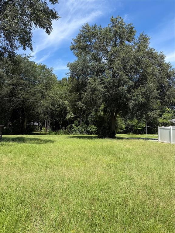TBD SE 144TH PLACE, SUMMERFIELD, FL — photo 5 of 6