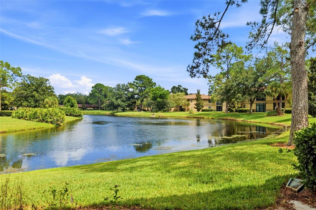 2687 SABAL SPRINGS CIRCLE UNIT 104, CLEARWATER, FL — photo 2 of 30