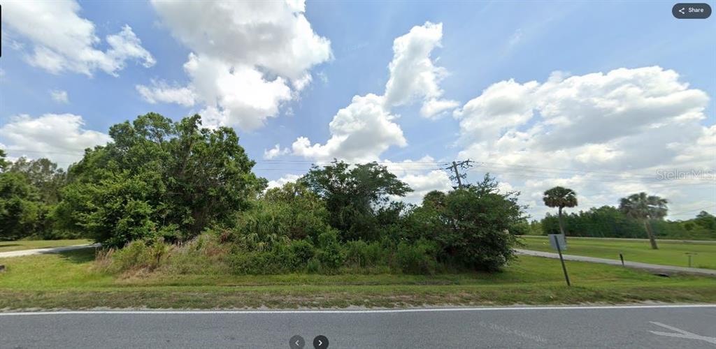 A vacant, grassy lot with dense trees and shrubs is bordered by a paved road — N/A, KENANSVILLE, FL