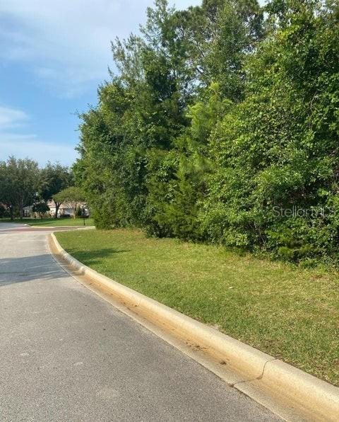 A paved road curves alongside a grassy verge bordered by a dense line of trees — 15 INDIAN SPRINGS DRIVE, ORMOND BEACH, FL