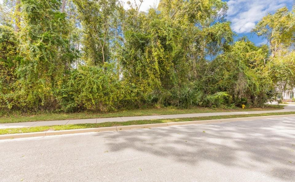 A vacant, wooded residential lot sits behind a sidewalk and paved street — 15 INDIAN SPRINGS DRIVE, ORMOND BEACH, FL