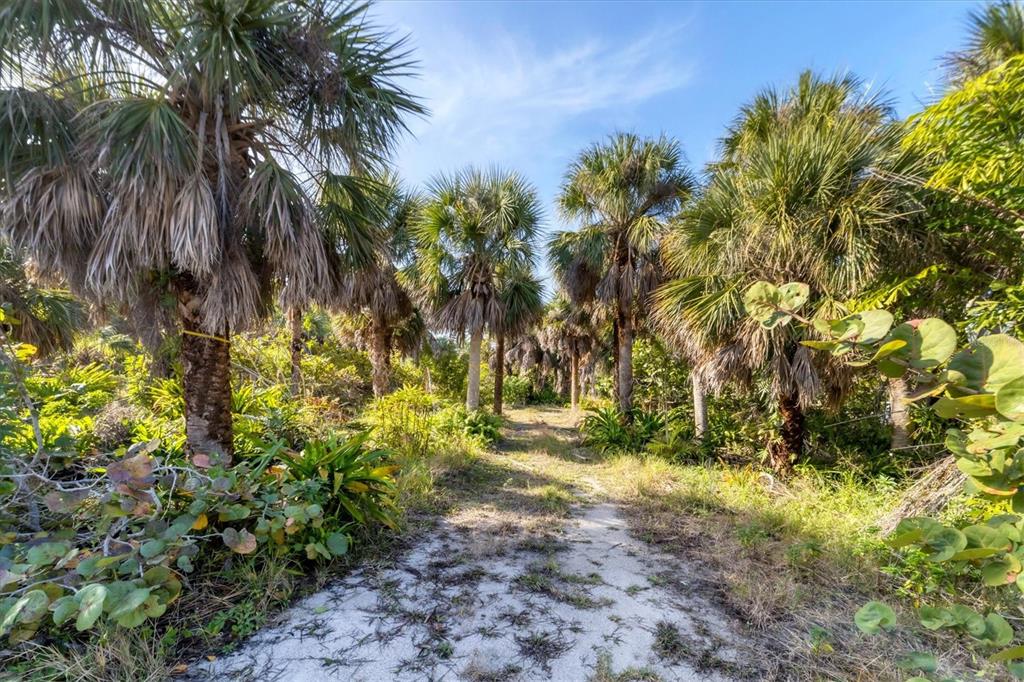 A sandy path winds through a grove of palm trees and lush tropical vegetation — 21 BAYSHORE CIRCLE, PLACIDA, FL