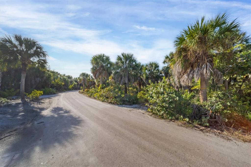 A dirt road winds through a lush landscape filled with palm trees under a blue sky — 21 BAYSHORE CIRCLE, PLACIDA, FL