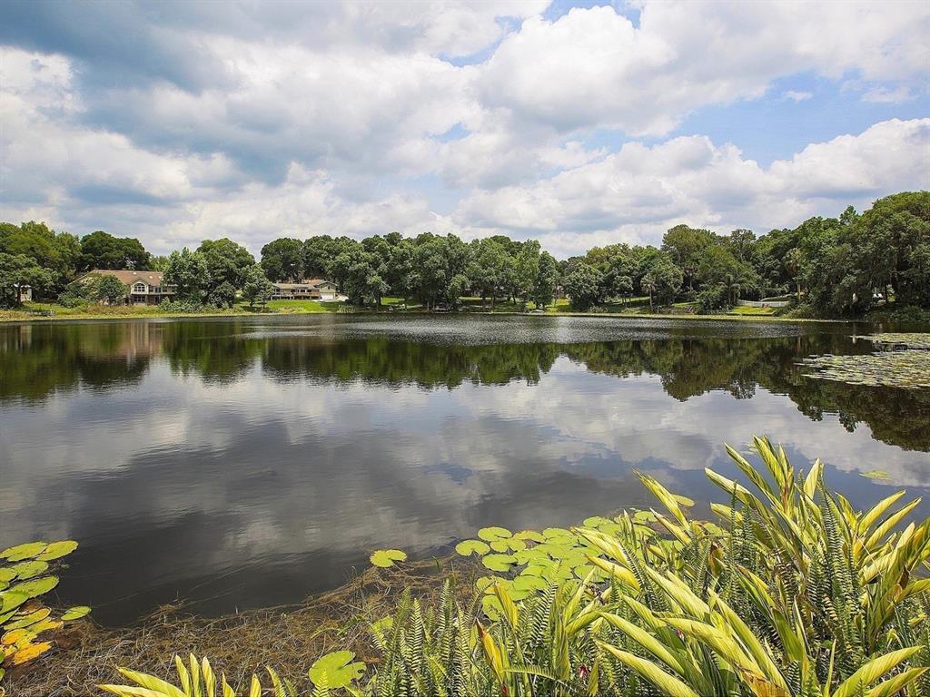 A calm lake reflects the cloudy sky and surrounding trees with lily pads in the foreground — 1625 ABRAMS ROAD, EUSTIS, FL