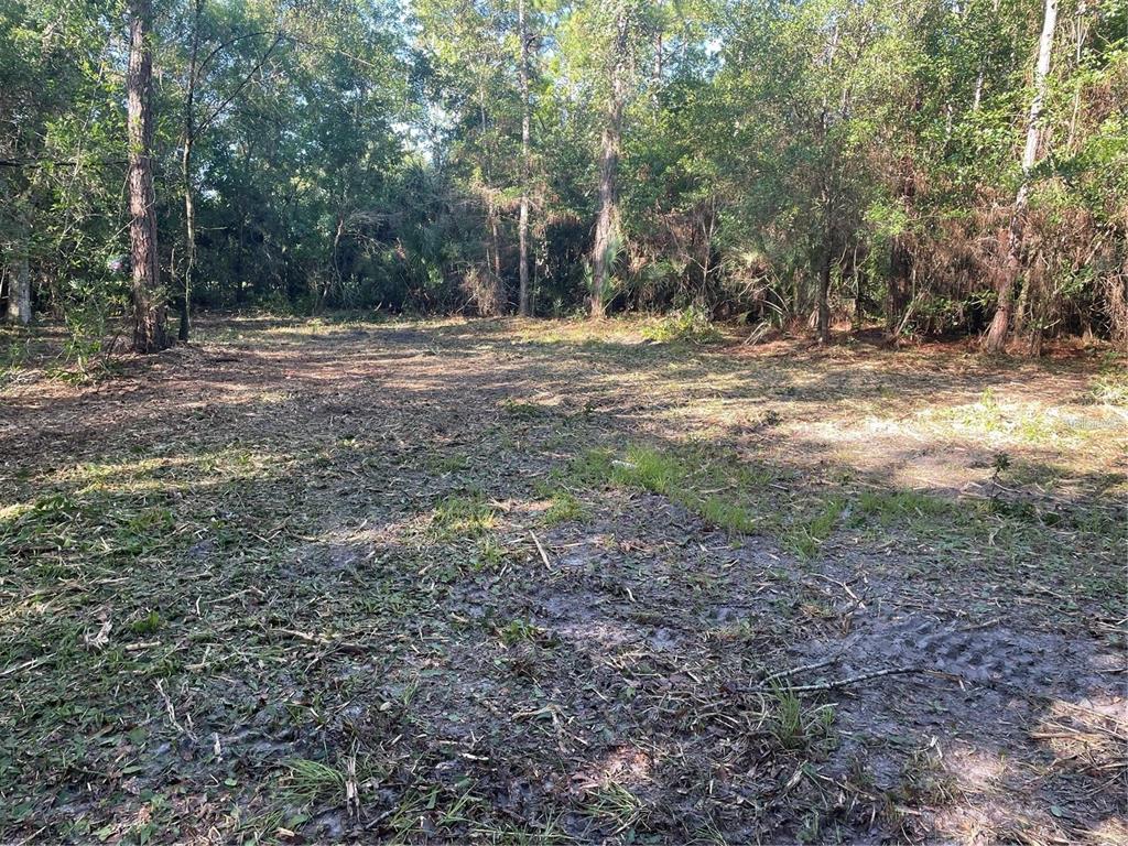 3165 STEWART BOULEVARD, KISSIMMEE, FL — photo 4 of 18