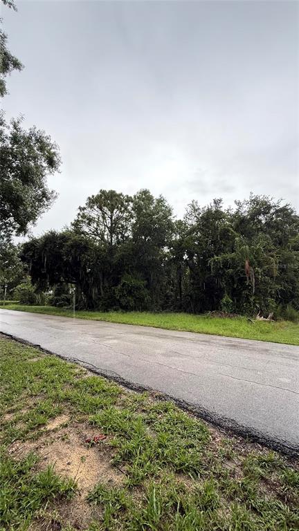 A paved road runs alongside a wooded lot with dense trees and green grass — 6225 SHERMAN TERRACE, SEBRING, FL