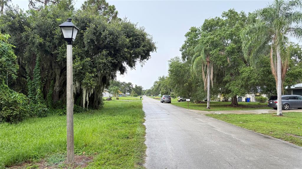 A paved residential street lined with mature trees, a lamp post, and parked cars — 6225 SHERMAN TERRACE, SEBRING, FL