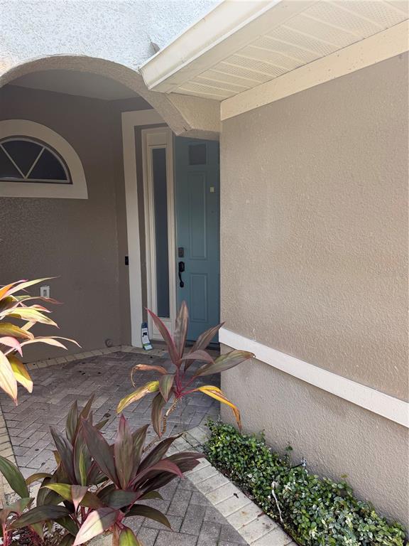 The exterior entrance features a blue front door, a brick paver walkway, and landscaping — 7460 TERRACE RIVER DRIVE, TEMPLE TERRACE, FL