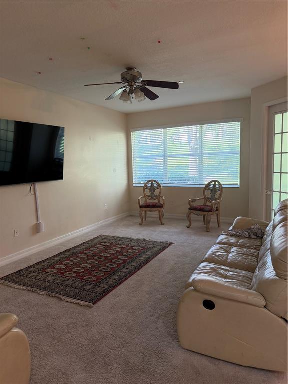 A living room features a beige sofa, a patterned area rug, and two ornate chairs — 7460 TERRACE RIVER DRIVE, TEMPLE TERRACE, FL