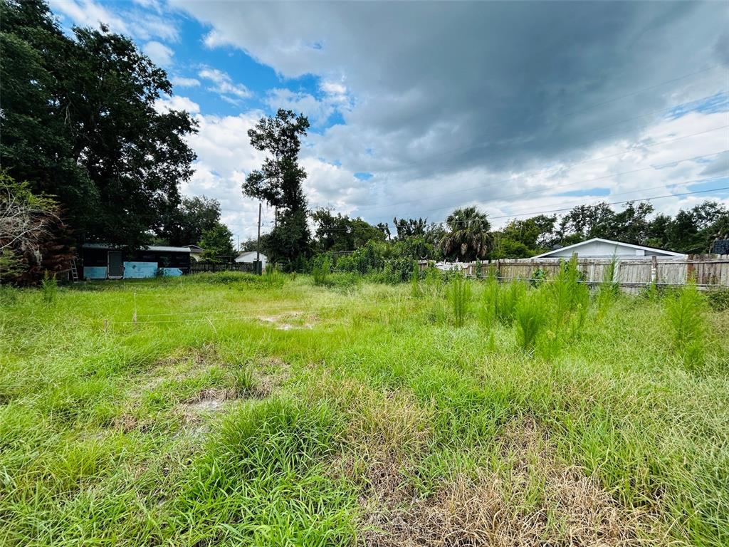 A grassy, overgrown vacant lot with a wooden fence and trees in the background — 1493 TALLAHASSEE BOULEVARD, INTERCESSION CITY, FL