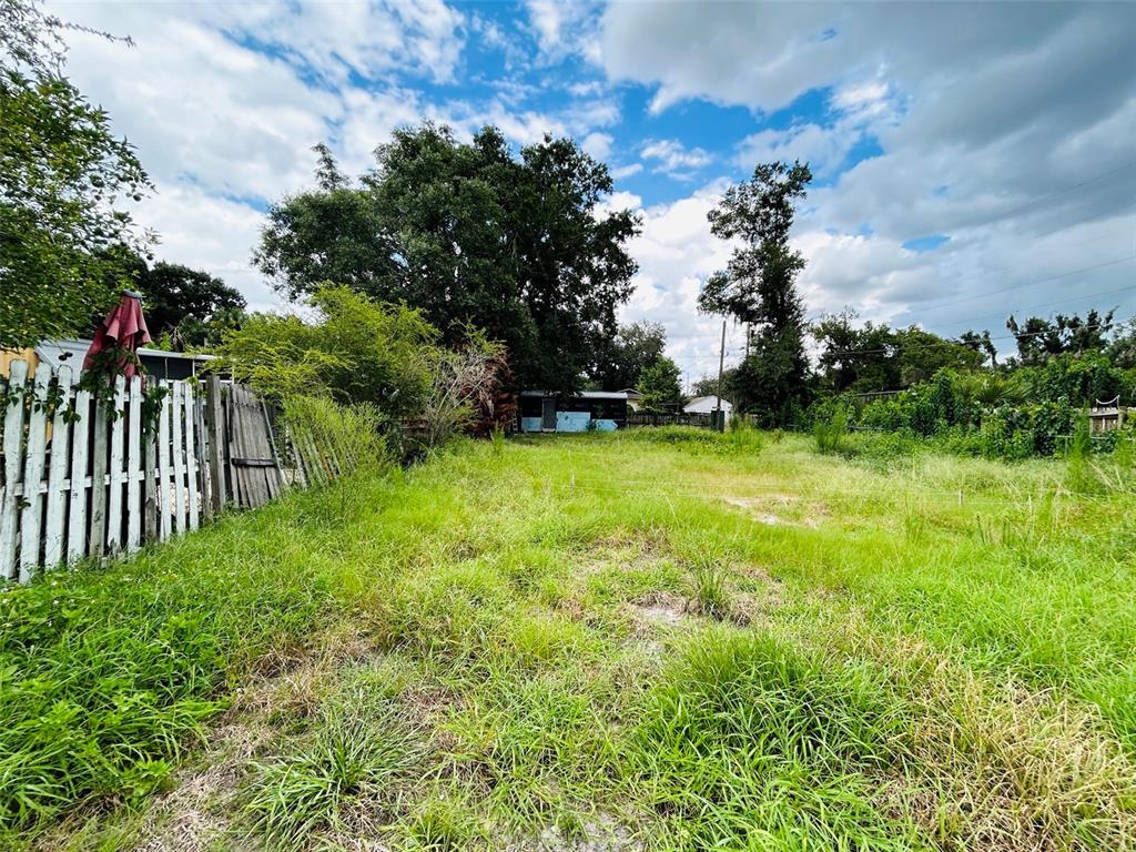 A grassy, overgrown vacant lot features a white picket fence and mature trees — 1493 TALLAHASSEE BOULEVARD, INTERCESSION CITY, FL