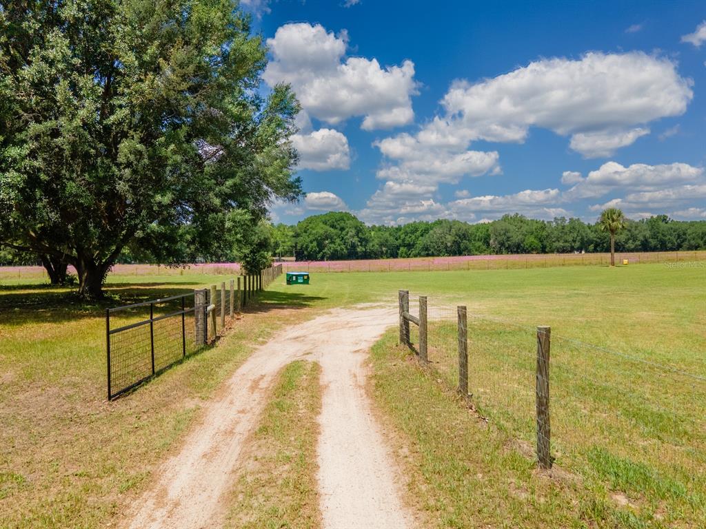 A dirt path leads through a fenced pasture toward a field of wildflowers and trees — 4381 NE 105TH PLACE, ANTHONY, FL