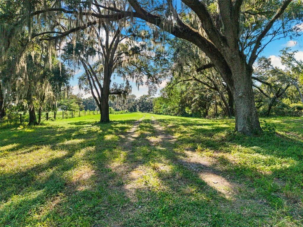 A dirt path leads through a grassy field shaded by large, moss-draped oak trees — 14765 US HIGHWAY 41, SPRING HILL, FL