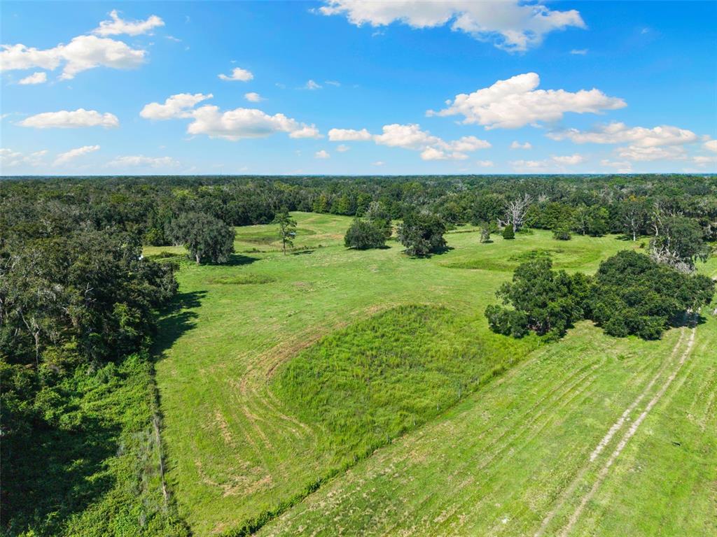 An aerial view shows a large, grassy pasture surrounded by dense forest under a blue sky — 14765 US HIGHWAY 41, SPRING HILL, FL