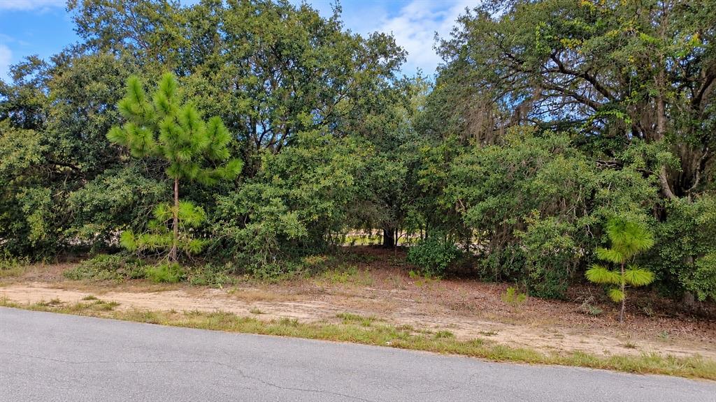 TBD SE MALAUKA LOOP RUN ROAD, OCKLAWAHA, FL — photo 2 of 3