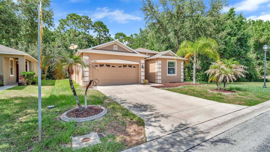 A single-story suburban house with a tan stucco exterior, a two-car garage, and palm trees — 12848 WHITE BLUFF ROAD, HUDSON, FL