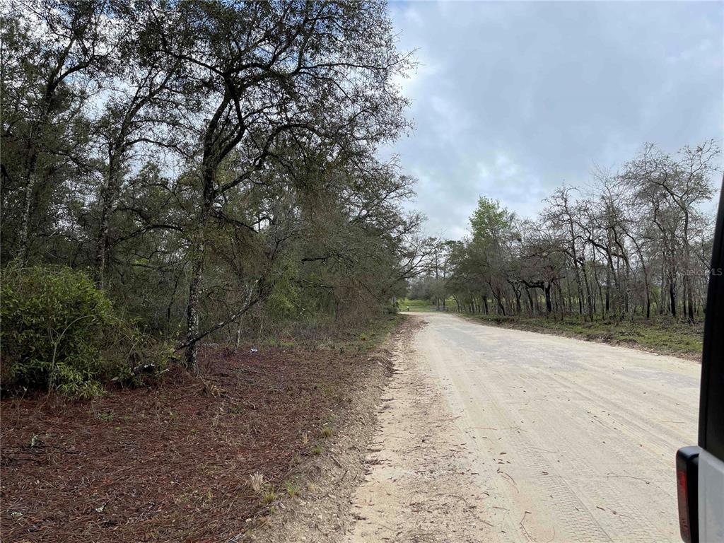 A dirt road runs alongside a wooded area under a cloudy sky — Lot 8 NE 120 AVENUE, WILLISTON, FL