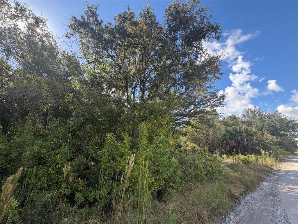 SWISS BOULEVARD, PUNTA GORDA, FL — photo 2 of 10