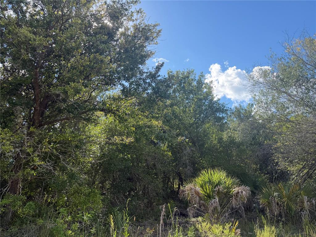 SWISS BOULEVARD, PUNTA GORDA, FL — photo 3 of 10