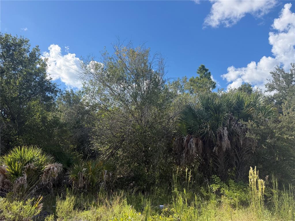 SWISS BOULEVARD, PUNTA GORDA, FL — photo 4 of 10