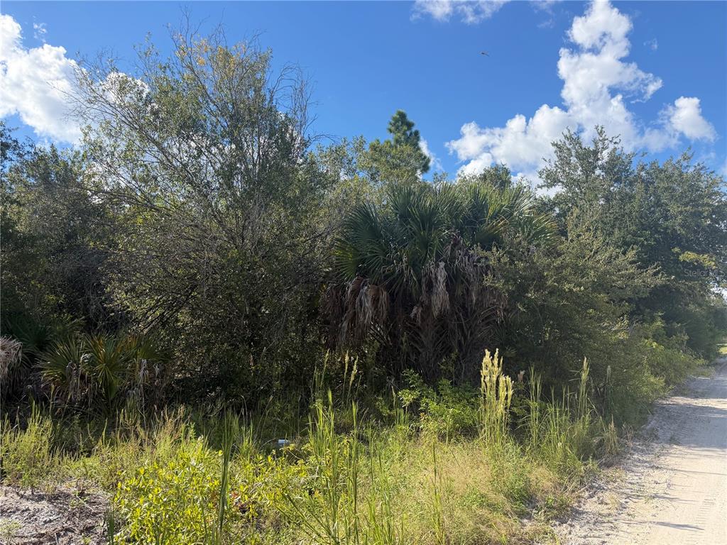 SWISS BOULEVARD, PUNTA GORDA, FL — photo 5 of 10