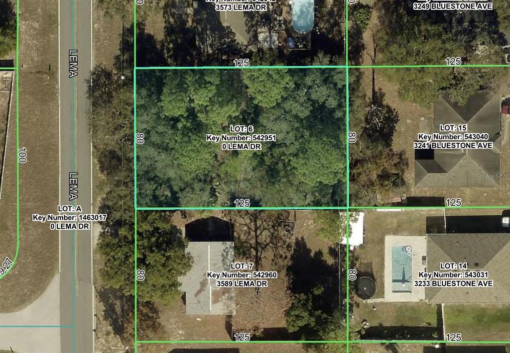 3581 LEMA DRIVE, SPRING HILL, FL — photo 2 of 2