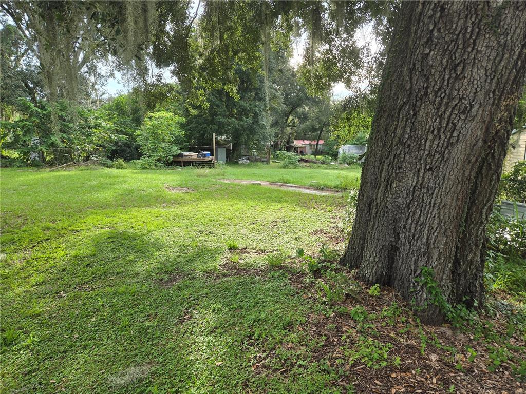 A large tree stands in the foreground of a grassy, wooded residential lot — 10612 SKEWLEE GARDENS DRIVE, THONOTOSASSA, FL