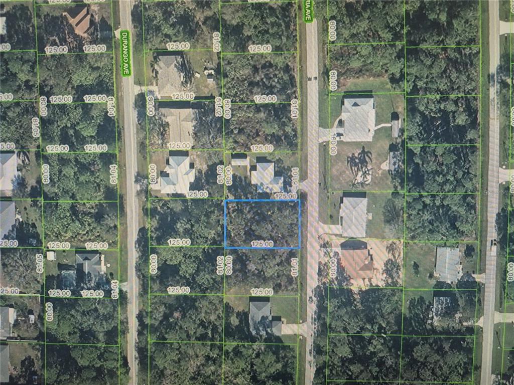 4005 CANTORIA AVENUE, SEBRING, FL — photo 2 of 8