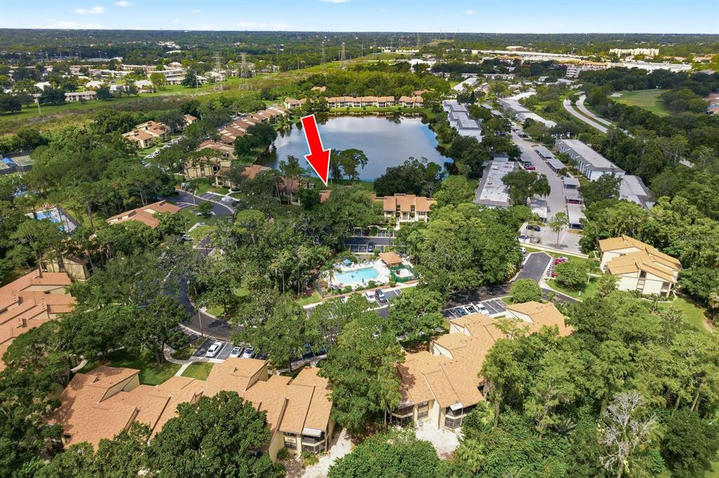 An aerial view of a residential apartment complex featuring a lake, pool, and surrounding trees — 10 WOODLAKE PLACE, OLDSMAR, FL
