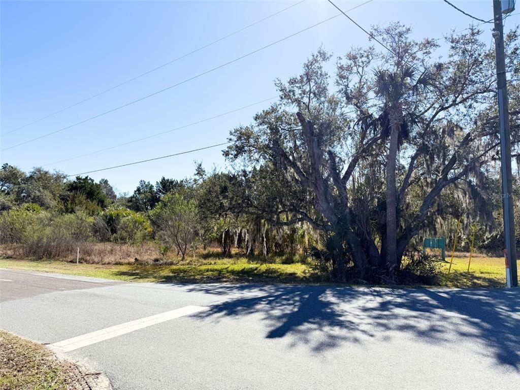 A paved road intersection borders a vacant, wooded lot with a large oak tree — 10748 W PINE BARK LANE, CRYSTAL RIVER, FL