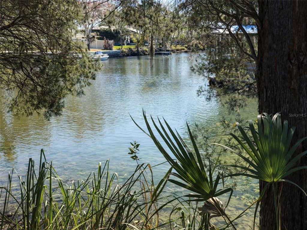 A view of a calm canal framed by trees and palm fronds with boats docked — 10748 W PINE BARK LANE, CRYSTAL RIVER, FL