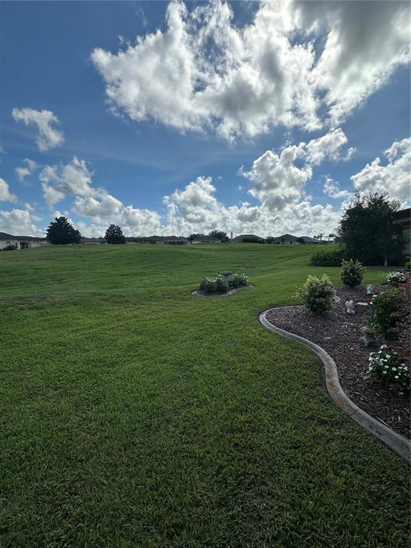 A grassy backyard features a curved garden bed, a birdbath, and a distant neighborhood view — 12173 SE 178TH STREET, SUMMERFIELD, FL