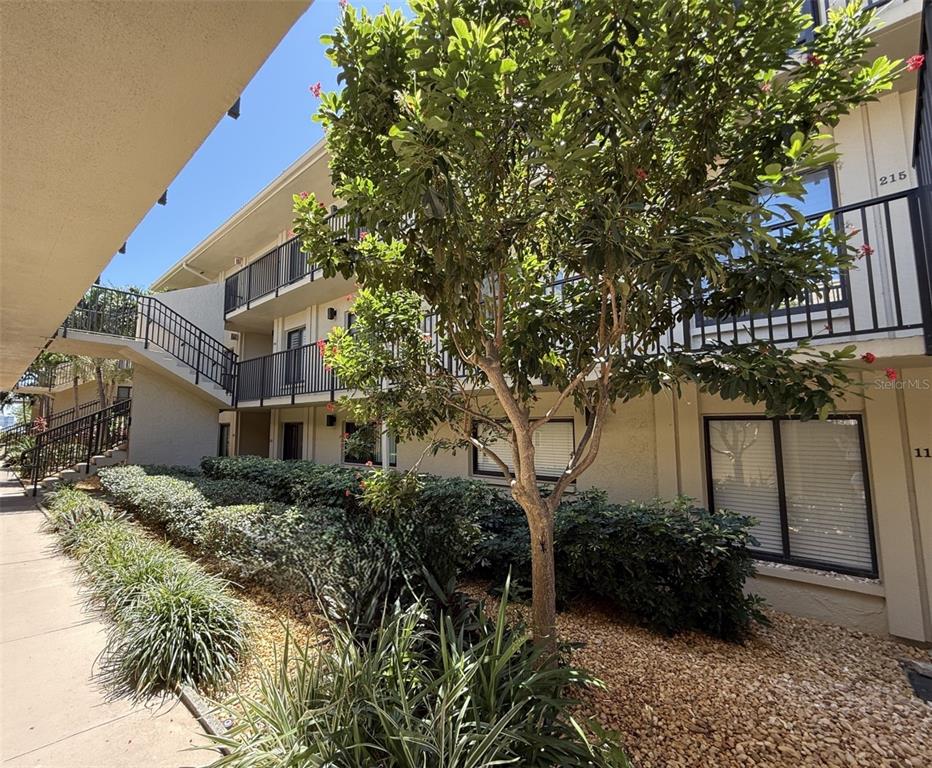 A multi-story apartment building exterior with a walkway, stairs, and a tree in front — 6322 PALMA DEL MAR BOULEVARD S UNIT 213, ST PETERSBURG, FL