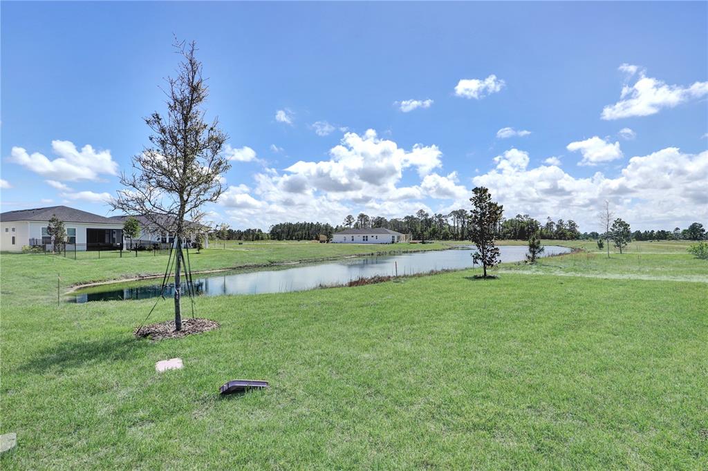 A grassy backyard features a small pond, young trees, and distant houses under a blue sky — 310 KNOTTED BIRCH AVENUE, ST AUGUSTINE, FL