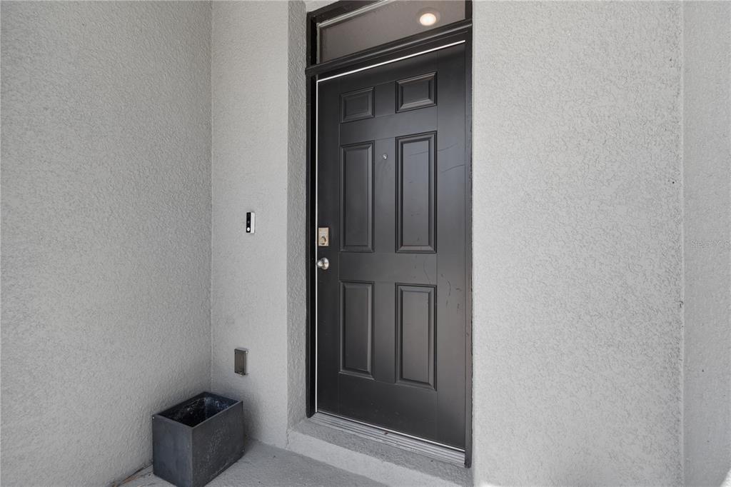 A black six-panel front door is set into a light gray stucco exterior wall — 32423 TURTLE GRACE LOOP, WESLEY CHAPEL, FL