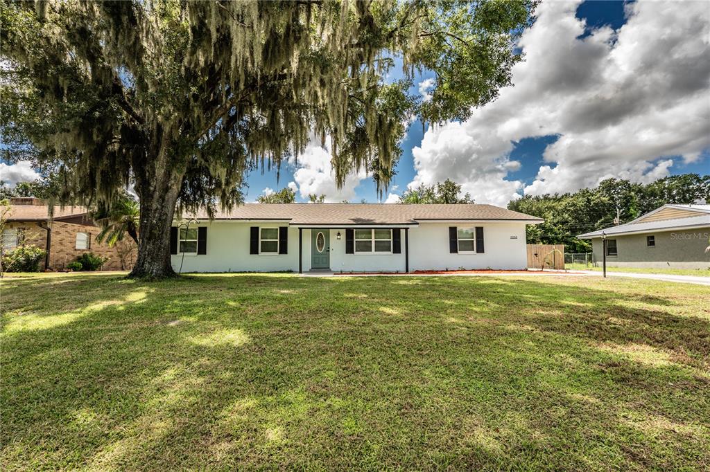A white single-story house with black shutters sits behind a large tree on a lawn — 2250 MAPLE HILL DRIVE, LAKELAND, FL