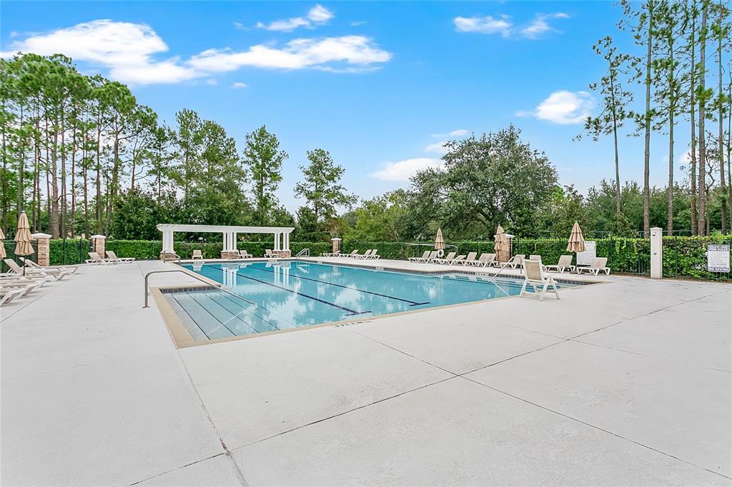 A rectangular swimming pool with lap lanes is surrounded by a concrete deck and trees — 6712 THORNHILL CIRCLE, WINDERMERE, FL