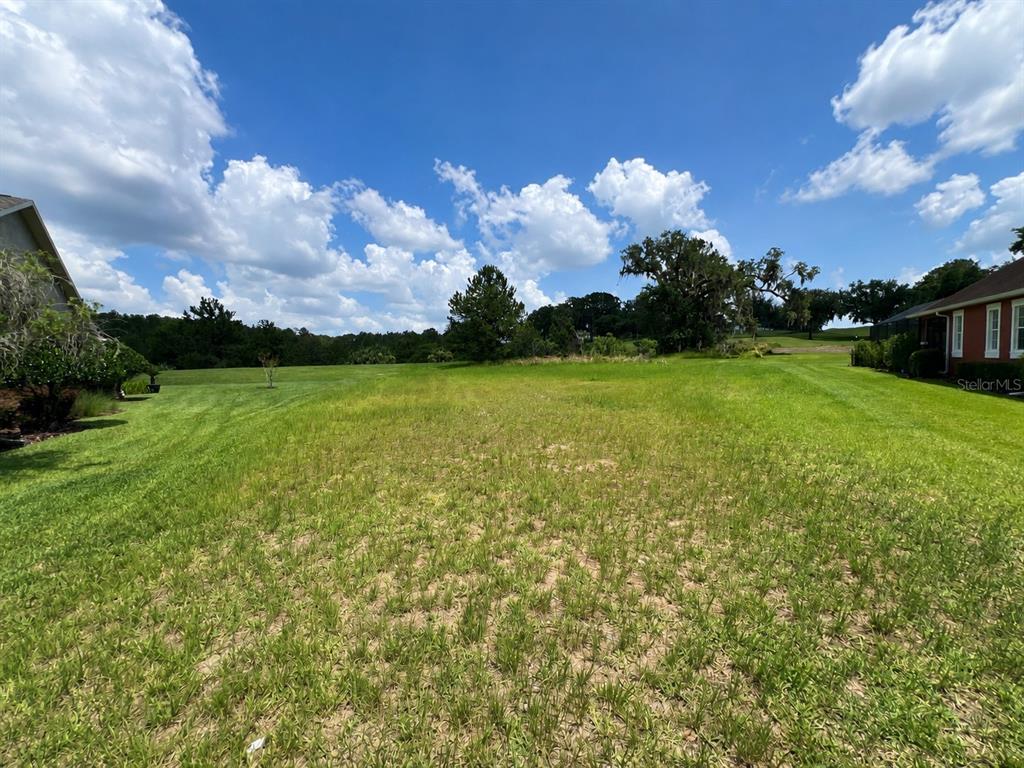 A grassy vacant lot sits next to a house with a garage and driveway — 19492 FOREST GARDEN COURT, BROOKSVILLE, FL