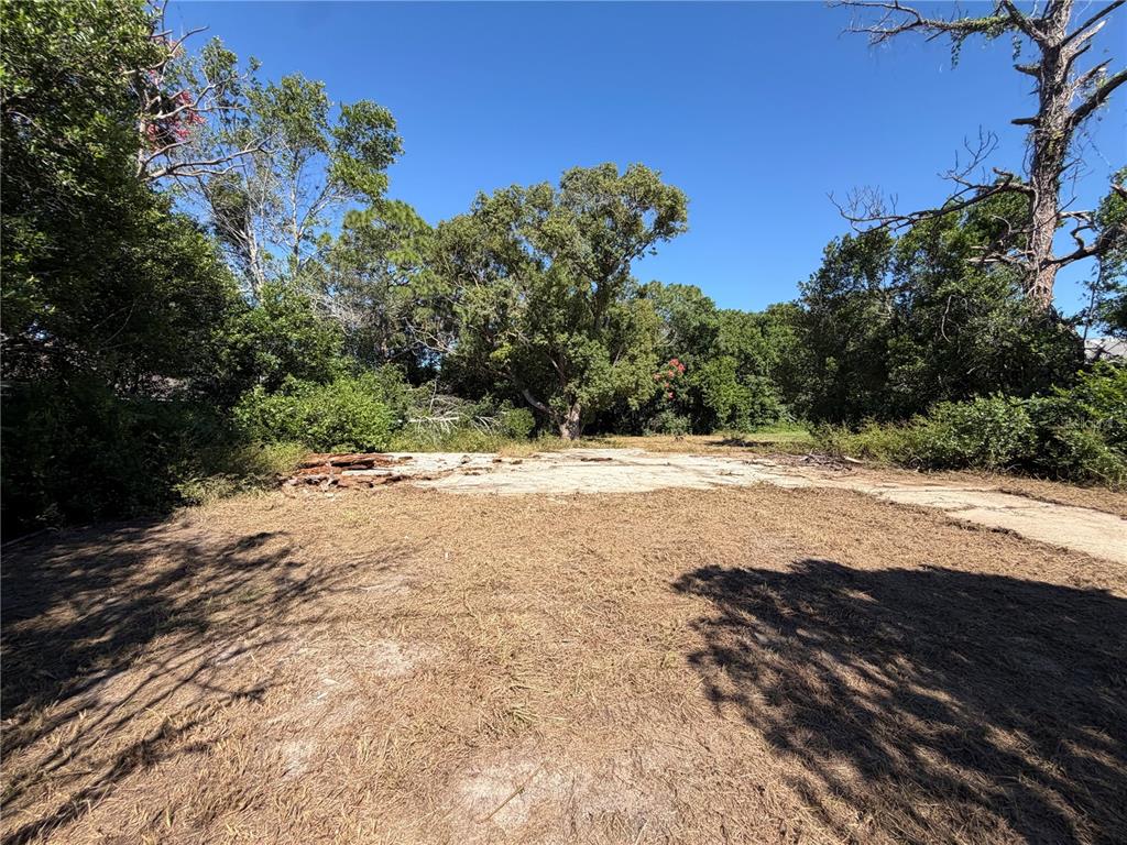 11411 SAGAMORE STREET, SPRING HILL, FL — photo 4 of 12