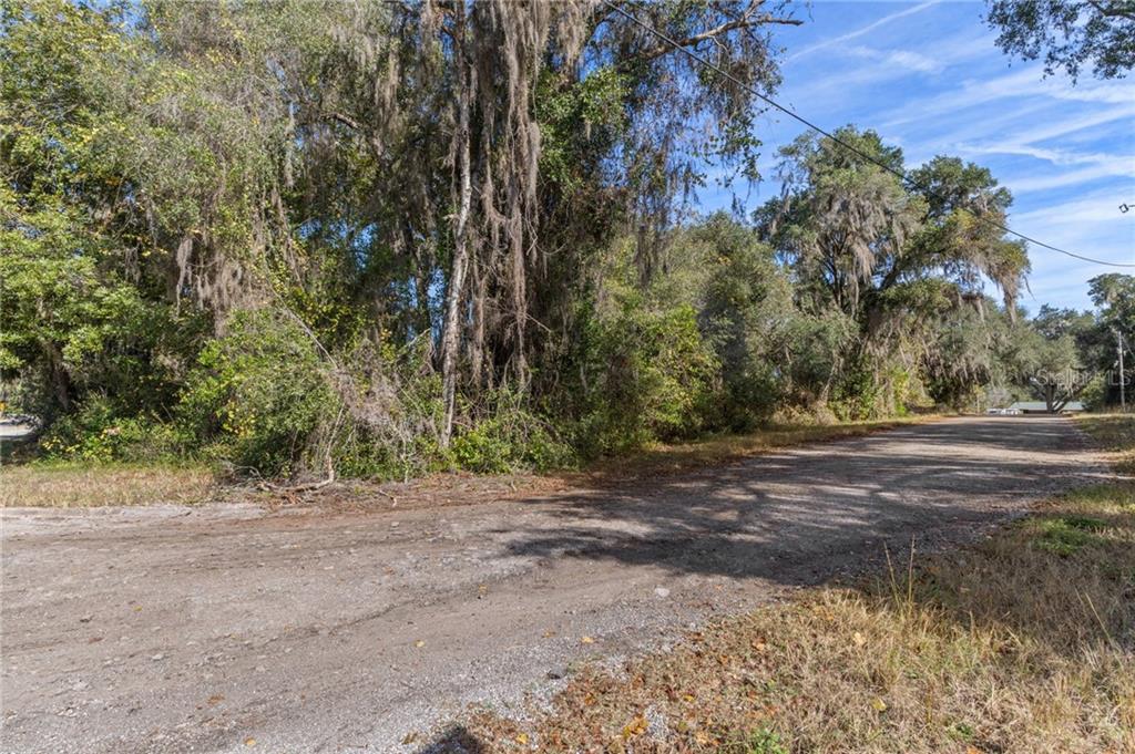 4351 E Mate LANE, HERNANDO, FL — photo 4 of 12