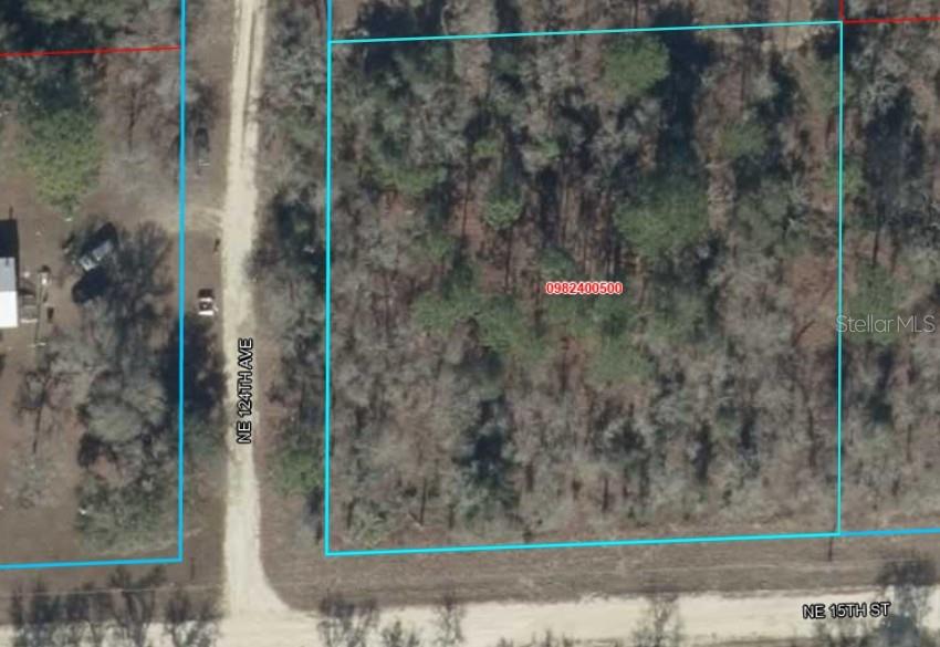 Lot 6 NE 124 STREET, WILLISTON, FL — photo 2 of 6